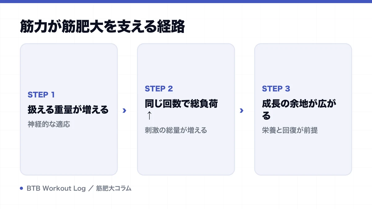 筋力が筋肥大を支える経路を示す図解