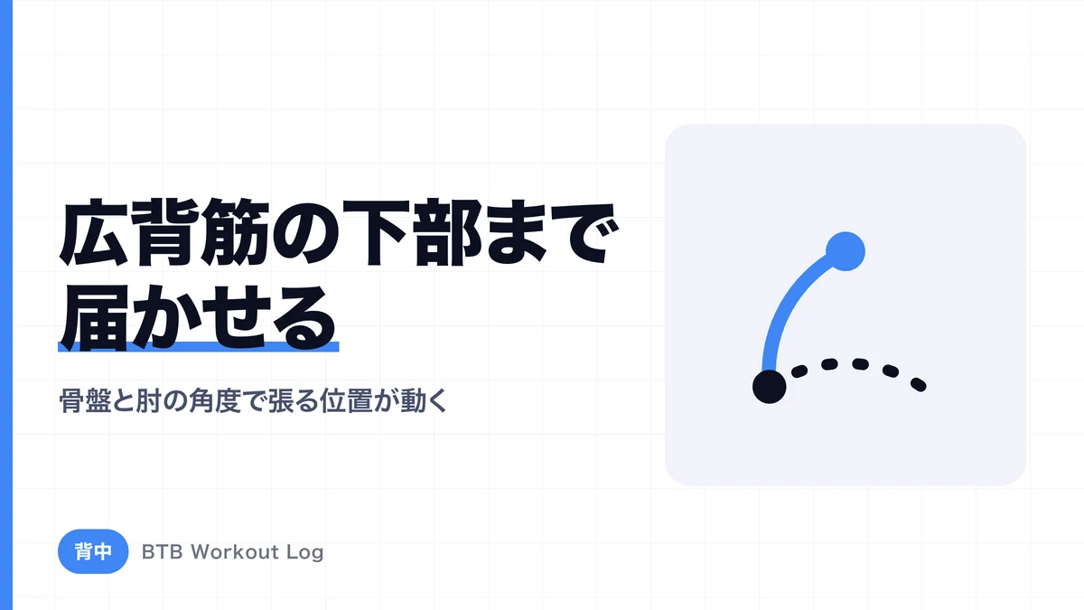 広背筋下部を狙うには？背中の下まで広げるフォームと種目選び