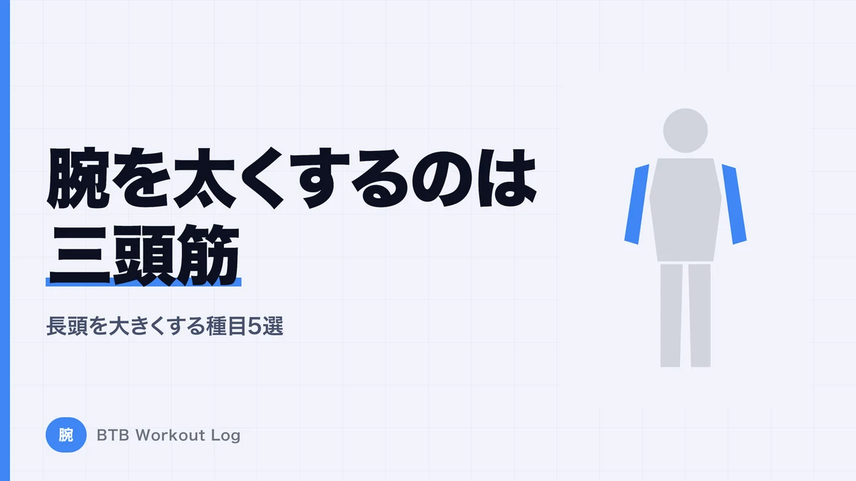 腕を太くしたいなら上腕三頭筋を鍛えろ｜長頭を大きくする種目5選